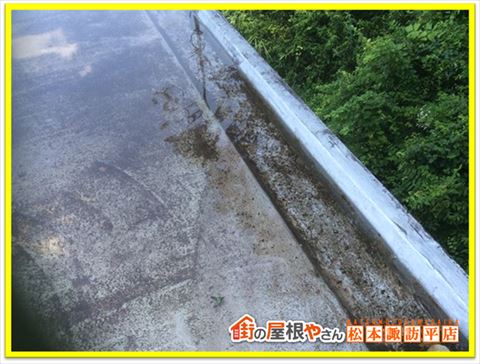 諏訪市陸屋根現地調査　水がたまった屋上